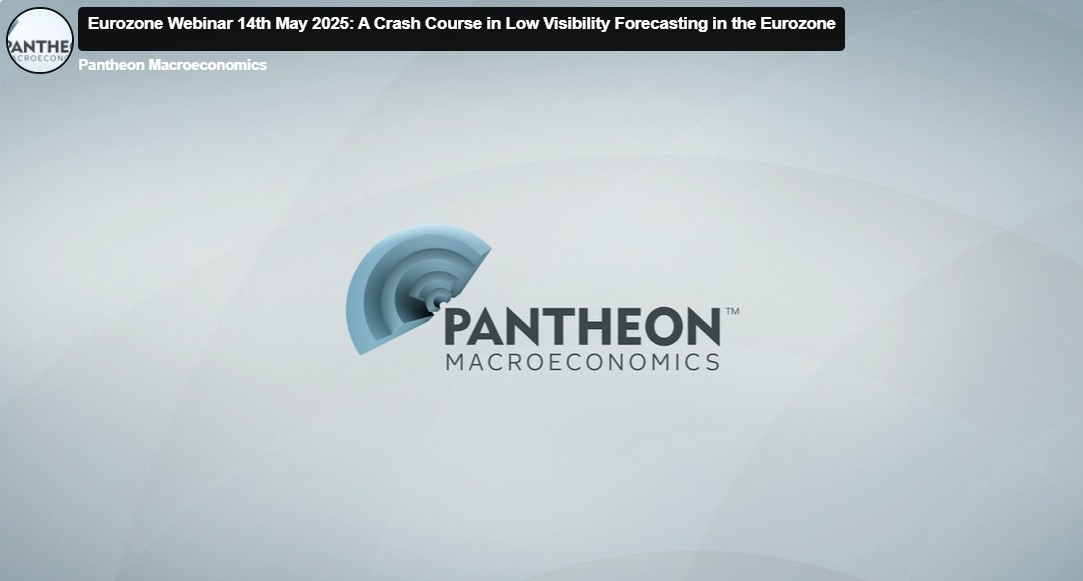 EZ Webinar 14 May 2025: A Crash Course in Low Visibility Forecasting in the Eurozone